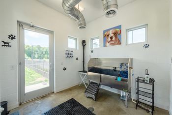 Pet spa